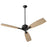 Oxygen Lighting Juno Light Ceiling Fan, Black - 3-109-15