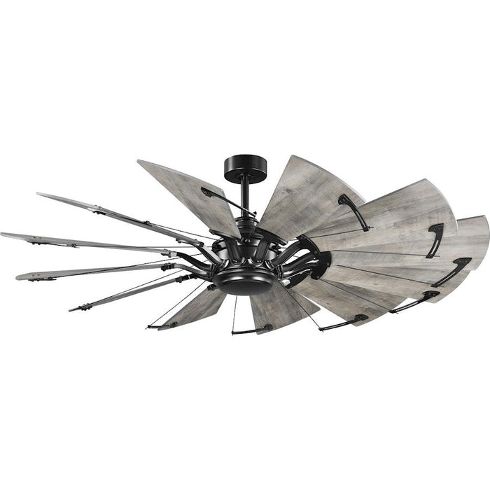 Progress Lighting Springer 60" 12-Blade BK Windmill Ceiling Fan - P250000-31M