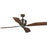 Progress Lighting Chapin 54" 4-Blade Oil Rubbed Bronze Ceiling Fan - P250022-108