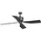 Progress Lighting Chapin 54" 4-Blade Graphite Ceiling Fan - P250022-143