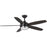 Progress Lighting Albin 54" 5-Bld Black Ceiling Fan, Opal - P250036-031-30