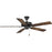 Progress Lighting Airpro 52" Bronze 5-Blade Ceiling Fan - P250080-020