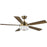 Progress Lighting Tempt 52" 5 Blade Ceiling Fan, Clear Prismatic - P2578-16330K