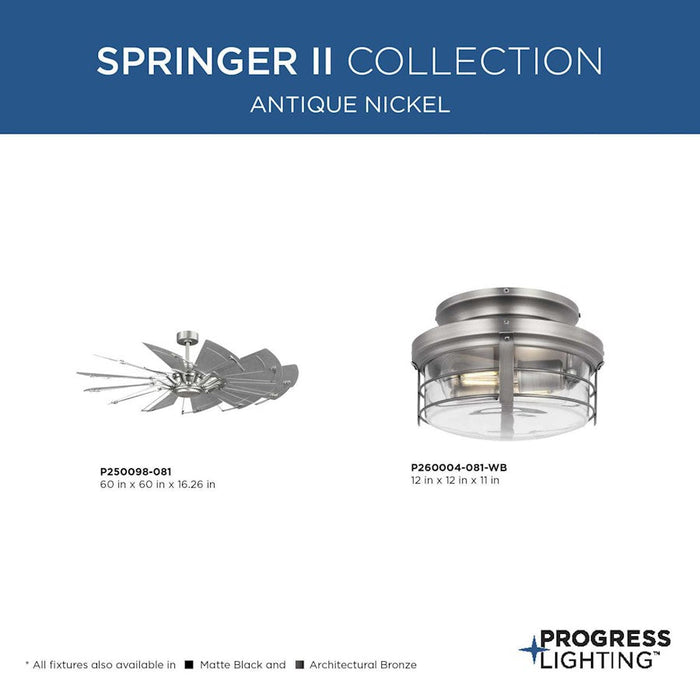 Progress Lighting Springer Ii Light Kit