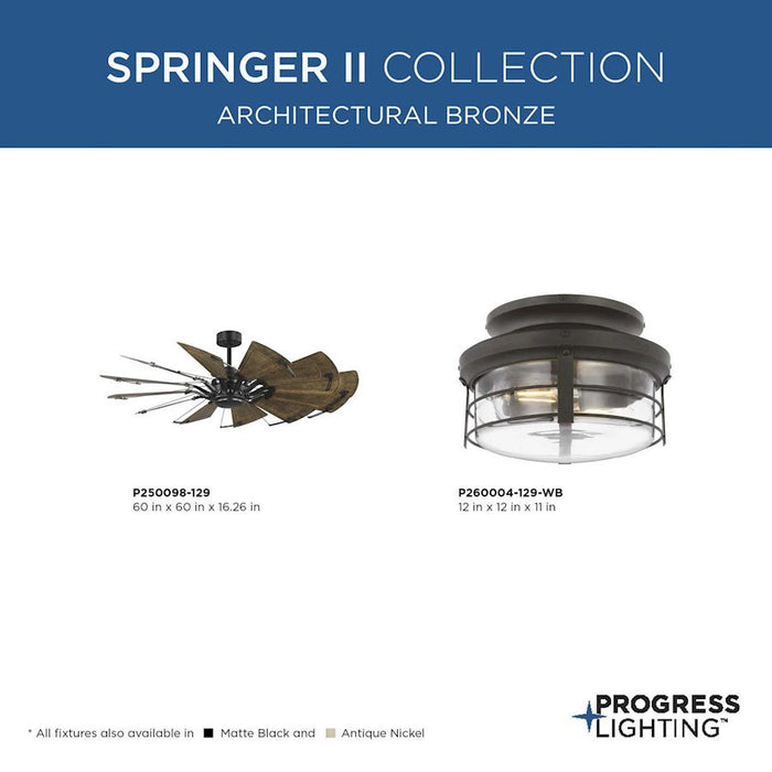 Progress Lighting Springer Ii Light Kit