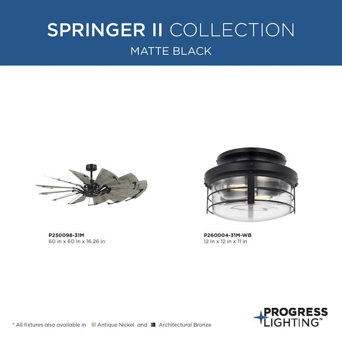 Progress Lighting Springer Ii Light Kit