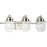 Progress Lighting Northlake 3-Light Bath Light, Nickel/Clear - P300436-009