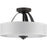 Progress Lighting Kene Graphite 2-LT Semi-Flush Convertible, Linen - P350098-143