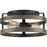 Progress Lighting Gulliver 2 Light Flush Mount, Graphite - P350169-143