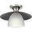 Progress Lighting Trimble 1-Light Semi-Flush Mount