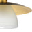 Progress Lighting Trimble 1-Light Semi-Flush Mount