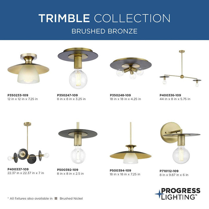 Progress Lighting Trimble 3-Light 18" Flush Mount