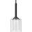 Progress Lighting Kene Graphite 1-Light Mini-Pendant, Clear Glass - P500103-143