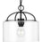 Progress Lighting Leyden 1 Light Mini-Pendant, Matte Black/Clear - P500316-031