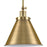 Progress Lighting Hinton 1 Light Vintage Pendant, Brass - P500325-163