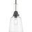 Progress Lighting Rushton 1 Lt Industrial Pendant, Graphite Clear - P500329-143