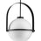 Progress Lighting Delayne 1 Light 21.62" Black/Etched Opal Pendant - P500359-31M