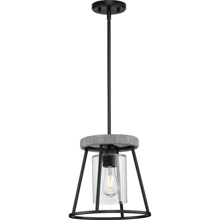 Progress Lighting Laramie 1-Light Pendant, Black Clear Seeded