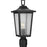 Progress Lighting Padgett 1 Light BK/Seeded Outdoor Post Light - P540093-031