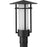 Progress Lighting Exton 1 Lt Post Lantern, Black/Etched Seeded - P540097-031