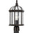 Progress Lighting Dillard 1-Lt Trad BZ/Clear Outdoor Post-Lt - P540099-020