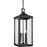 Progress Lighting Gibbes Street 3-LT Outdoor Pendant, Beveled - P550004-031