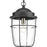 Progress Lighting Holcombe Hanging Lantern, Black