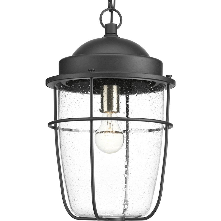 Progress Lighting Holcombe Hanging Lantern, Black