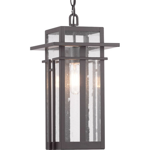 Progress Lighting Boxwood 1-Light Hanging Lantern, Seeded/Bronze