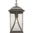 Progress Lighting Abbott 1-Light Hanging Lantern, Seeded