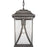 Progress Lighting Abbott 1-Light Hanging Lantern, Seeded