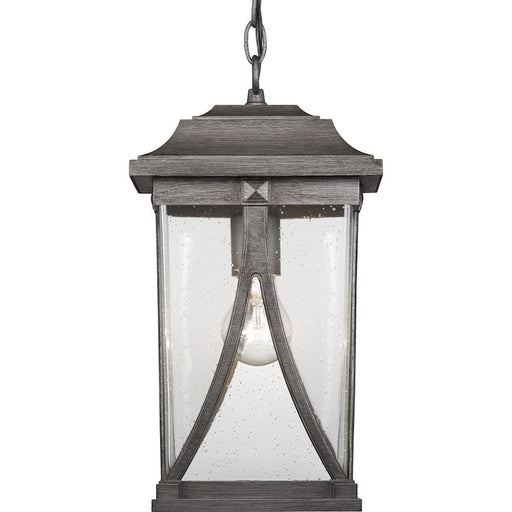 Progress Lighting Abbott 1-Light Hanging Lantern, Seeded