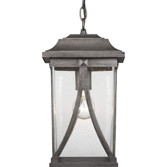 Progress Lighting Abbott 1-Light Hanging Lantern, Seeded