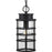 Progress Lighting Port Royal Outdoor Pendant, DURASHIELD, Clear - P550061-031