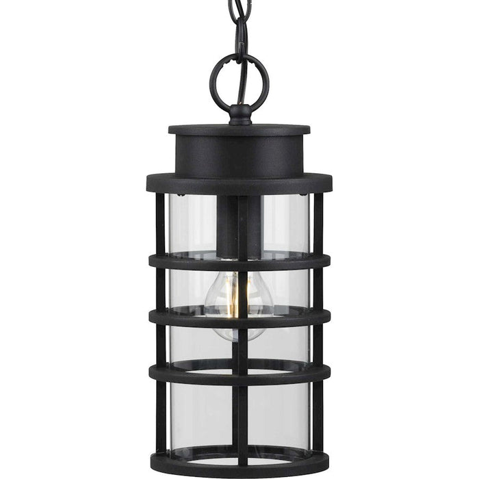 Progress Lighting Port Royal Outdoor Pendant, DURASHIELD, Clear - P550061-031