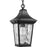 Progress Lighting Marquette Outdoor Pendant, DURASHIELD, Water - P550062-031