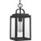 Progress Lighting Grandbury Outdoor Pendant, DURASHIELD, Clear - P550064-031