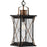 Progress Lighting Barlowe Bronze Outdoor Hanging Lantern, Seeded - P550068-020