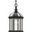 Progress Lighting Dillard 1-Lt Trad BZ/Clear Outdoor Hanging Light - P550122-020