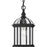 Progress Lighting Dillard 1-Lt BK Outdoor Hanging Light - P550122-031