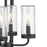 Progress Lighting Chapel 4-Light Outdoor Pendant, Black