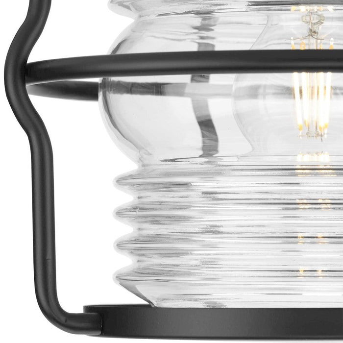 Progress Lighting Keegan 1-Light Outdoor Flush Mount Black/Clear