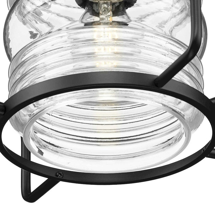 Progress Lighting Keegan 1-Light Outdoor Hanging Lantern, Black/Clear