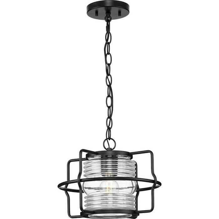 Progress Lighting Keegan 1-Light Outdoor Hanging Lantern, Black/Clear