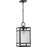 Progress Lighting Parrish 1-Light Outdoor Hanging Lantern, Black/Etched