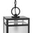 Progress Lighting Parrish 1-Light Outdoor Hanging Lantern, Black/Etched