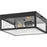 Progress Lighting Parrish 2-Light Outdoor Flush, Black Clear/Etched