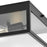 Progress Lighting Parrish 2-Light Outdoor Flush, Black Clear/Etched