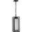 Progress Lighting Unison 1-Light Hanging Lantern, Black/Etched Seeded