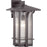 Progress Lighting Cullman Wall Lantern, Seeded/Bronze